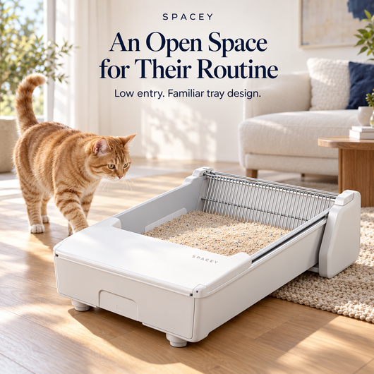SPACEY Smart Self-Cleaning Litter Box
